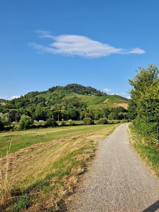 Ferienwohnung Blumenfeld Gengenbach Zewnętrze zdjęcie