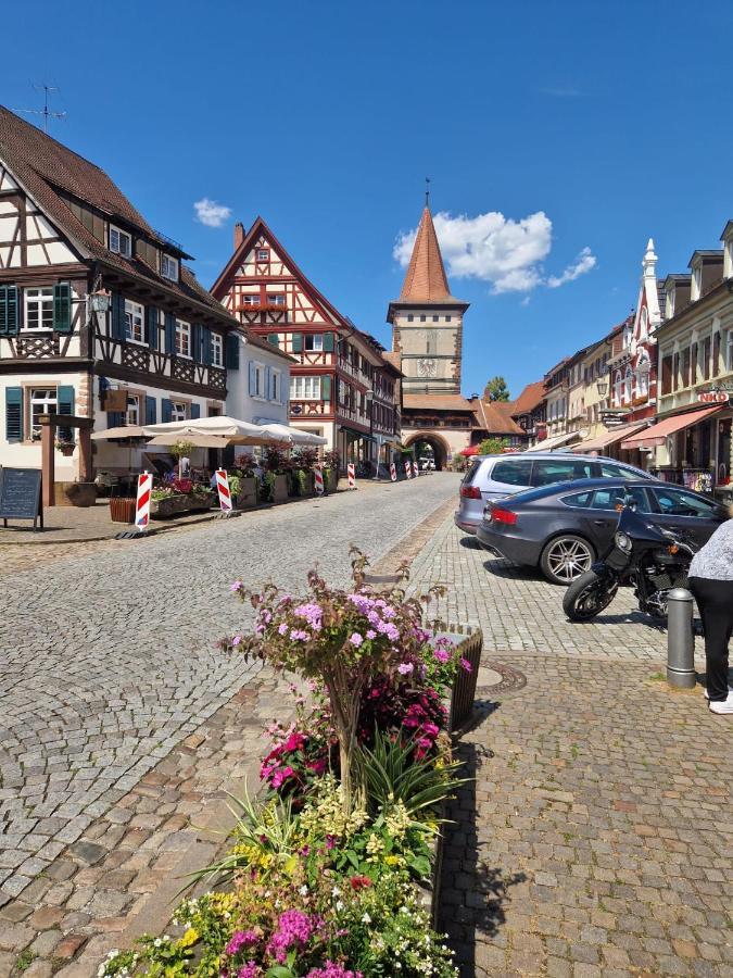 Ferienwohnung Blumenfeld Gengenbach Zewnętrze zdjęcie